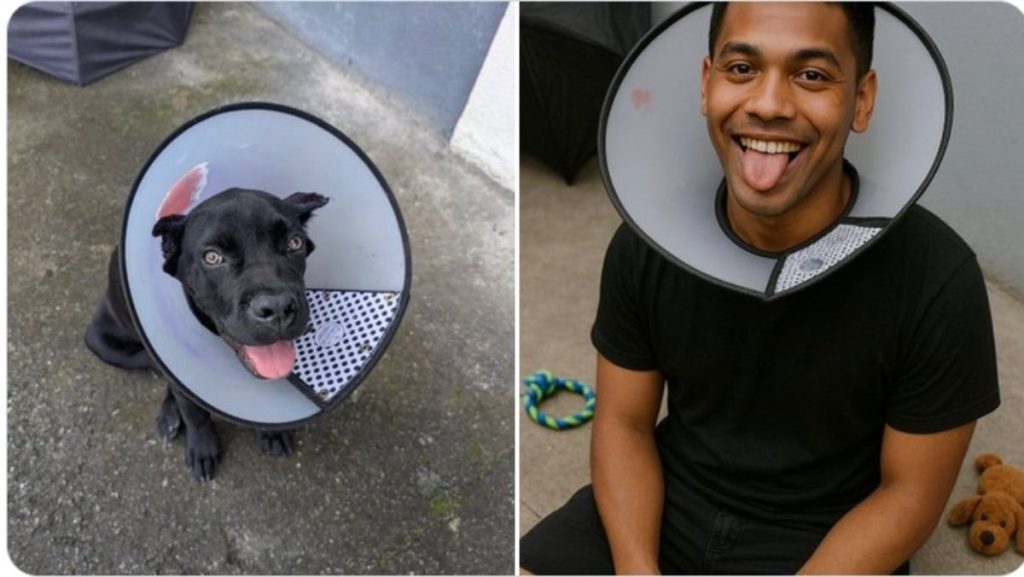 chatgpt animaux en humain