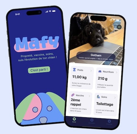 mafy application